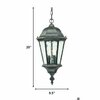 Homeroots 20 x 9.5 x 9.5 in. Telfair 2-Light Black Coral Hanging Light 398011